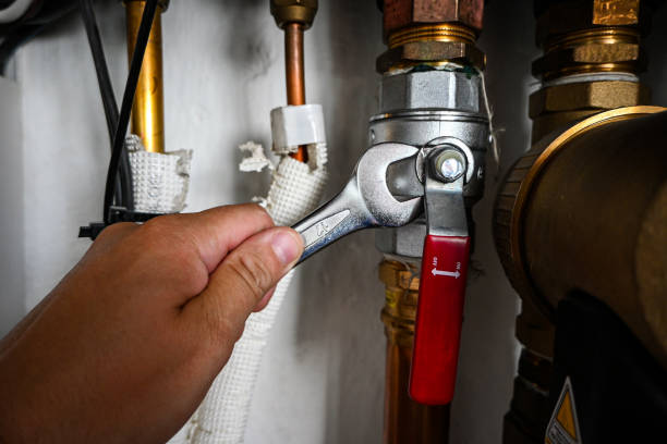 Best Sprinkler Systems  in Ludlow, KY